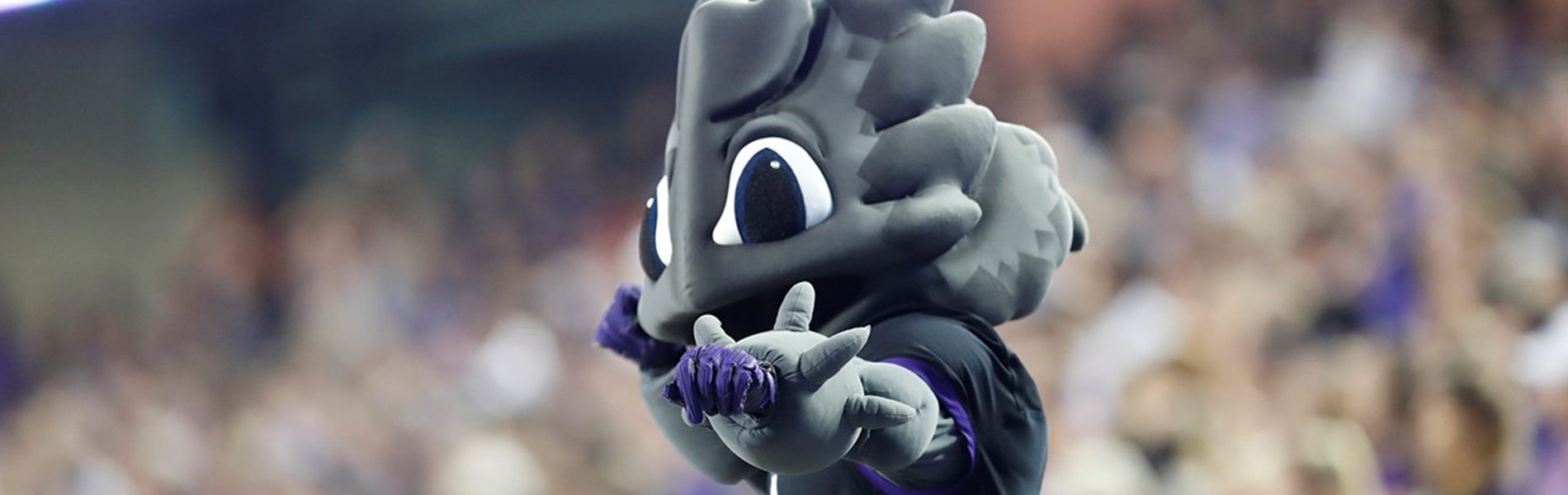 SuperFrog